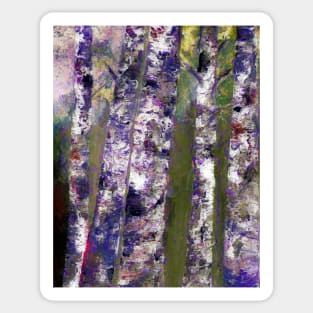 Birches At Dusk Sticker